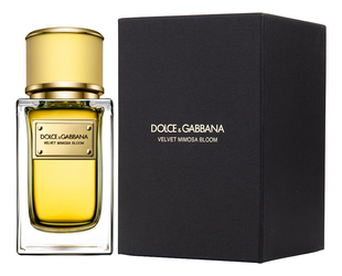 Dolce & Gabbana Velvet Mimosa Bloom