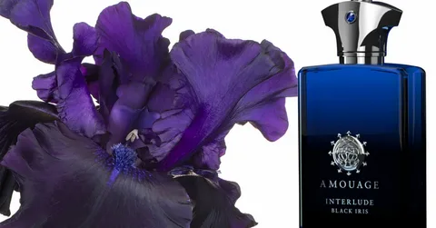 Amouage Interlude Black Iris Man