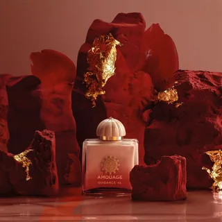 Amouage Guidance 46