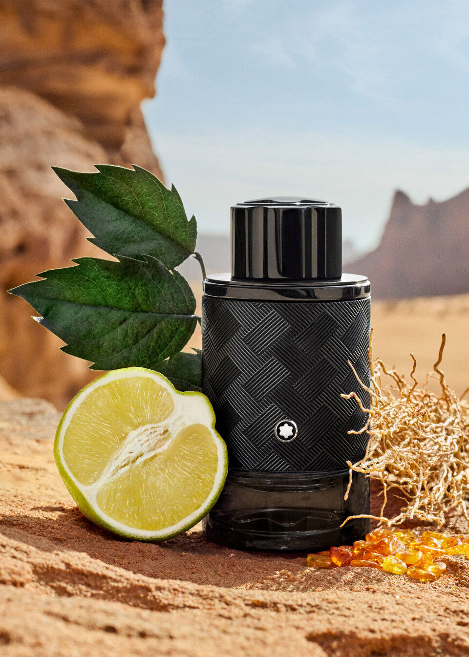 Mont Blanc Explorer Extreme